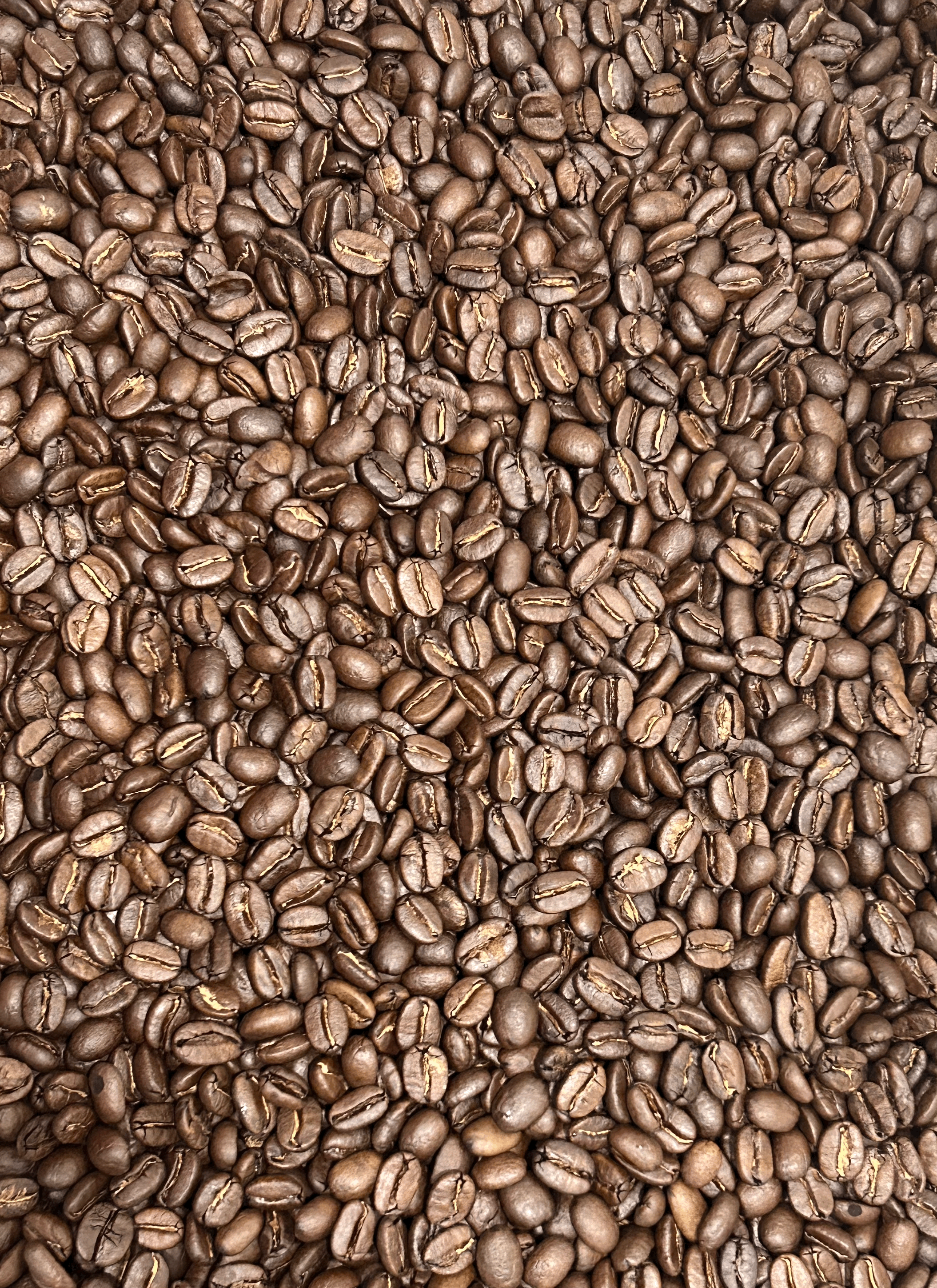 Stampede Espresso