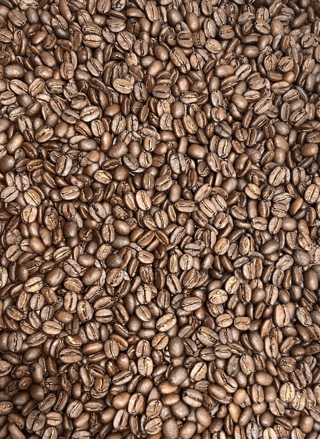 Stampede Espresso